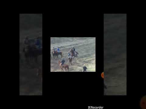 Видео: Аспхои Талхоб