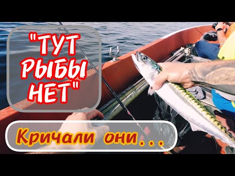 Видео: Морская Рыбалка в Норвегии / Поймали Все Что Можно