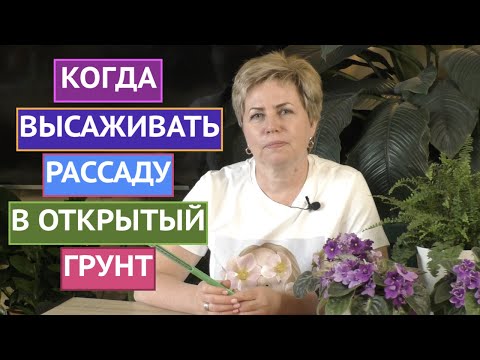 Видео: КОГДА ВЫСАЖИВАТЬ РАССАДУ В ГРУНТ, ЧТОБЫ ТОЧНО НЕ ОСТАТЬСЯ БЕЗ УРОЖАЯ!