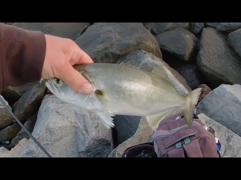 Видео: Риболов на лефер - 15.10.23