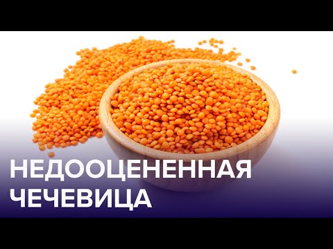 Видео: Чем полезна ЧЕЧЕВИЦА? Почему её важно есть тем, кто постоянно сидит в гаджетах? | Доктор 24