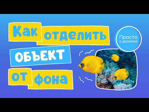 Видео: Как вырезать объект из фона на фото в Canva Magic Studio | Новый AI инструмент Magic Grab