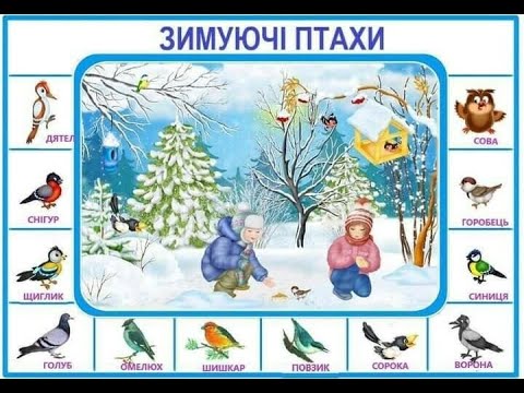 Видео: Зимуючі птахи. Ліплення з пластиліну "Маленький горобчик"