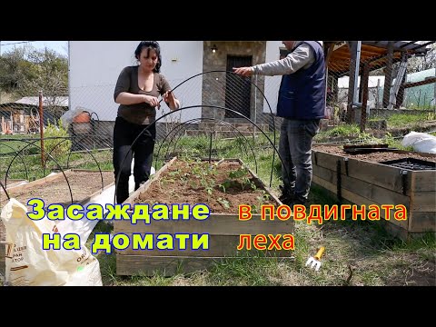 Видео: Посадка томатов на приподнятые грядки. Советы садоводам.