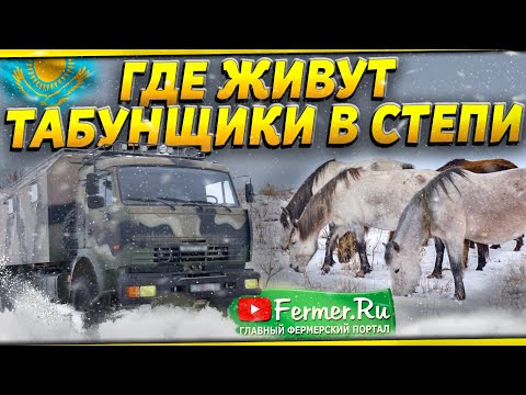 Видео: Беседы о коневодстве. Табун лошадей зимой. КУНГ для коневодов. Бауржан Оспанов, Ерагый Гишларкаев