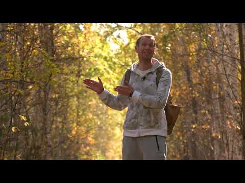 Видео: Если дома не сидится. Динас - Сажина 28.09.2023