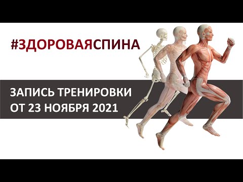 Видео: Здоровая спина - запись тренировки от 23 ноября 2021