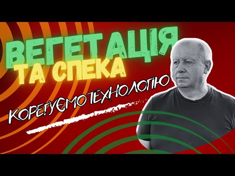 Видео: Вегетація та спека. Корегуємо технологію.