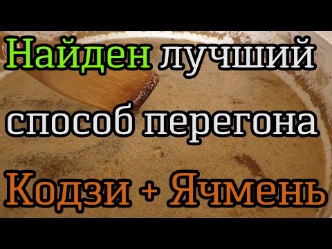 Видео: 72. Найден Лучший способ перегона Кодзи и Ячменя. VideoSEMmm