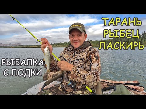 Видео: Осенняя рыбалка на Дону. РЫБЕЦ. ТАРАНЬ. ЛАСКИРЬ.