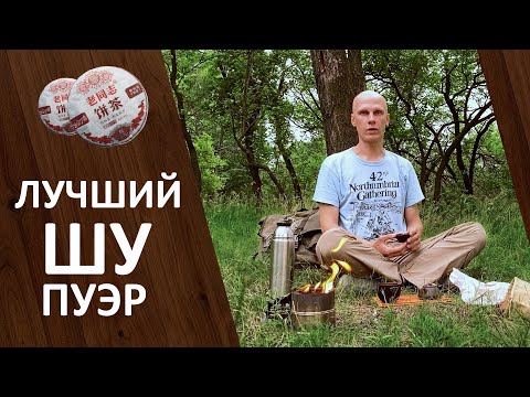 Видео: Шу Пуэр Haiwan 9978 - Лучший Пуэр на каждый день