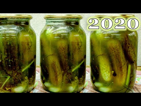 Видео: Соленные огурцы, хрустящие, без уксуса и стерилизации!