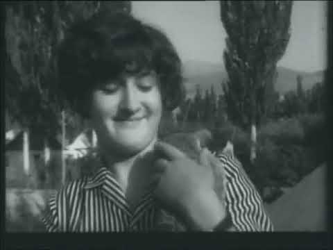 Видео: ШИНШИЛЛА ПОКИДАЕТ КЛЕТКУ  Док. Фильм 1971 СССР