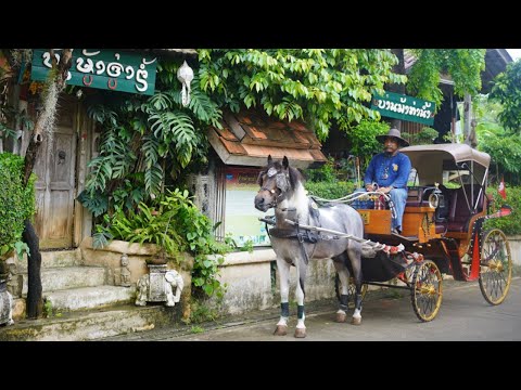 Видео: Редкий город, где до сих пор можно увидеть конные экипажи ⎹ Жизнь в Лампанге, Таиланд