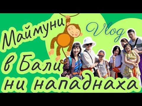 Видео: 2025 БАЛИ: Маймуни ни нападнаха в храма - Ден 4 Бали