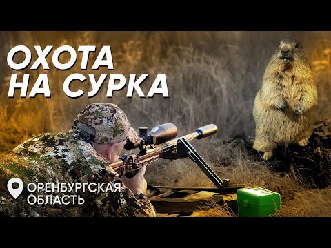 Видео: Охота на сурка в Оренбургской области