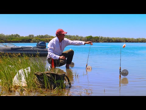Видео: РЫБАЛКА НА РЕКЕ ИЛИ! Долгожданное открытие сезона! Амур оказался хитрее! РЫБАЛКА НА САЗАНА АМУРА.