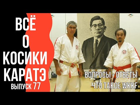 Видео: Выпуск 77. Всё о Косики каратэ. Что такое WKKF.