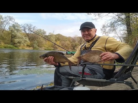 Видео: Зачётные лещи активны только ночью, фидер,ночь,река и красавцы лещи!