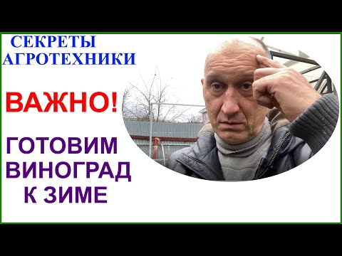 Видео: Подготовка винограда к зиме.