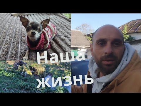 Видео: Что удалось сделать и почему не будет обзора дома?