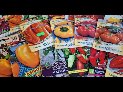 Видео: Сладкий перец. Проверенные сорта и гибриды