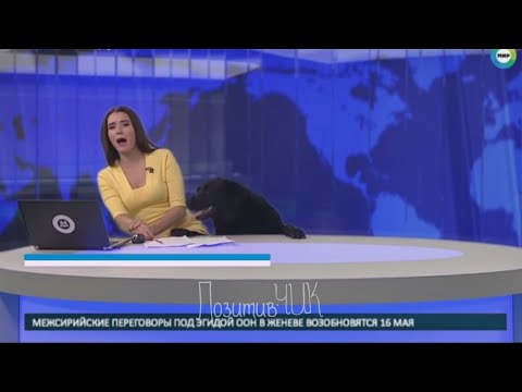 Видео: Ляпы ПРИКОЛЫ и эпичные фейлы в прямом эфире Best TV News Bloopers Fails Часть1