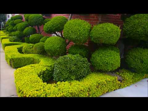 Видео: 🗽США🎈ПОЧЕМУ Я ВЫБРАЛА РИКА ?🎈МОИ НЕУДАЧИ ПОЧТИ 10 ЛЕТ🎈ОЧЕНЬ ОТКРОВЕННО