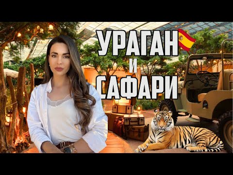 Видео: 🇪🇸 #2 | НА САФАРИ ЗА ВЕЧЕРЯ!?