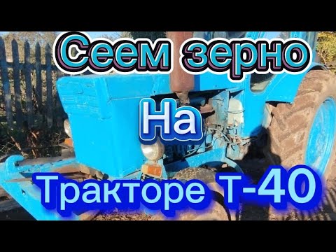 Видео: Сеем зерно с помощью Трактора Т-40, барнуем два огорода