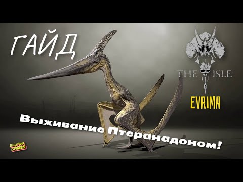 Видео: THE ISLE / EVRIMA. ГАЙД НА ПТЕРАНАДОНА. ДЛЯ НОВИЧКОВ!