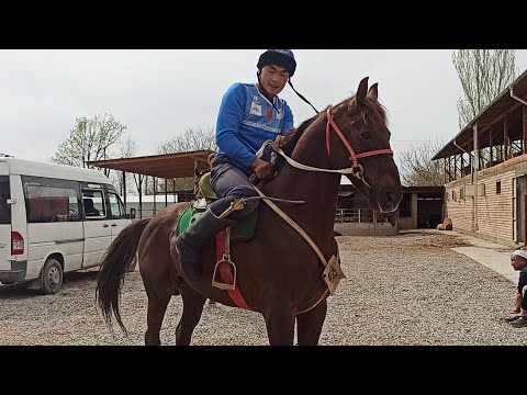 Видео: Ала- Тоо Командасы/ Машыгуу алдынан.