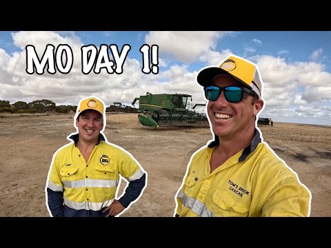 Видео: Улыбки повсюду! | Урожай 2025 | Западная Австралия