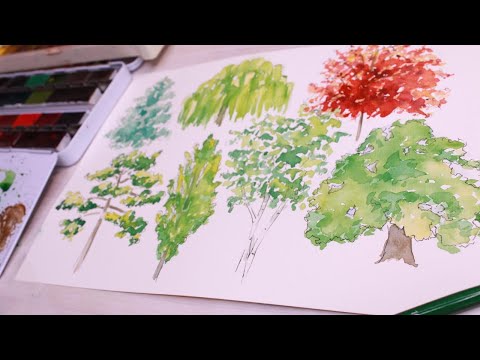 Видео: Урок 1. Акварель + Графика. Рисуем разные типы деревьев. Дуб, ель, сосна, клён, тополь, ива