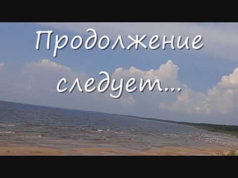 Видео: 8.Васкнарва-поселок у истока реки Нарова.Эстонский берег.