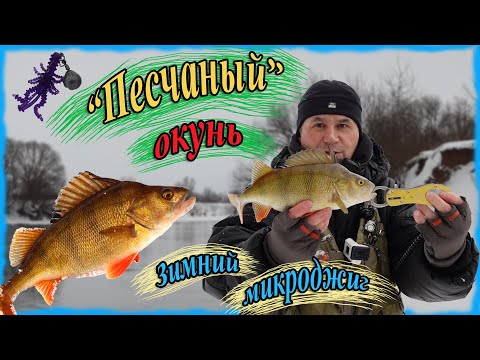Видео: Песчаный окунь. Зимний микроджиг