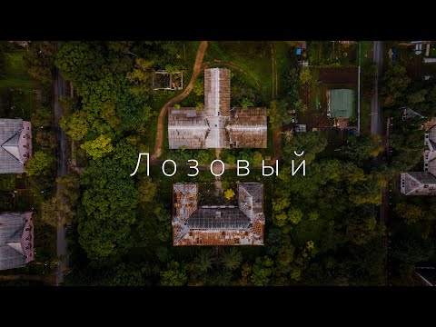 Видео: Лозовый