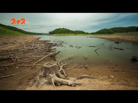 Видео: Каких легендарных гигантов нашли в джунглях Амазонии