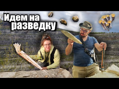 Видео: Сокский карьер - ищем ОКАМЕНЕЛОСТИ | Новый путь | ЗАКРЫТИЕ ПАЛЕОНТОЛОГИЧЕСКОГО СЕЗОНА 2023