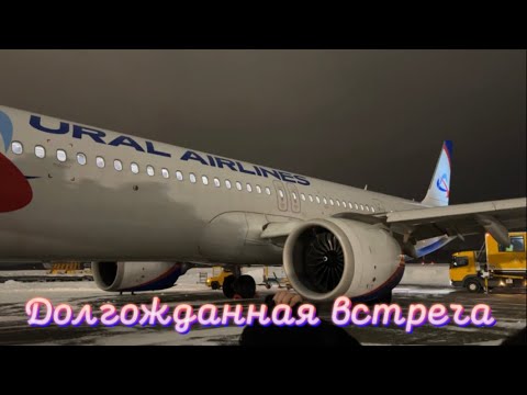 Видео: СЮРПРИЗ🎉ПРИЛЕТЕЛИ К СЕМЬЕ..✨А ОНИ И НЕ ЗНАЛИ😍КАК ЭТО БЫЛО?!❄️НАША ВСТРЕЧА😍