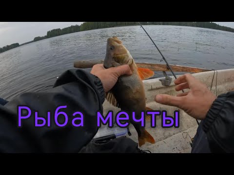 Видео: Рыба мечты. Окунь, щука, язь. Личный рекорд.