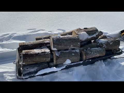 Видео: За дровами на алюминиевом мотобуксировщике