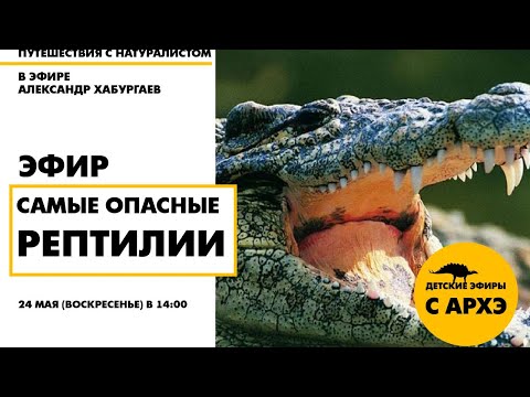 Видео: Детский эфир «Самые опасные рептилии» в рамках рубрики «Путешествия с натуралистом»
