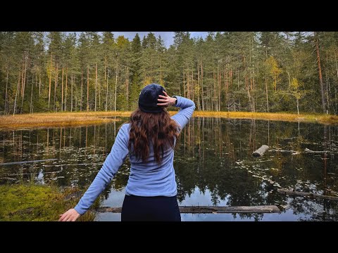 Видео: Первые заморозки | Северное сияние | Ножи Burlax