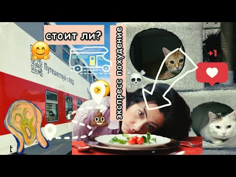 Видео: ВЛОГ ХУДЕЮЩЕГО ЧЕЛОВЕКА - худею за месяц на 10 кг! 