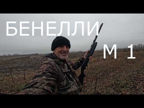 Видео: БЕНЕЛЛИ  М 1 и  ЧОКИ  PATERNMASTER.