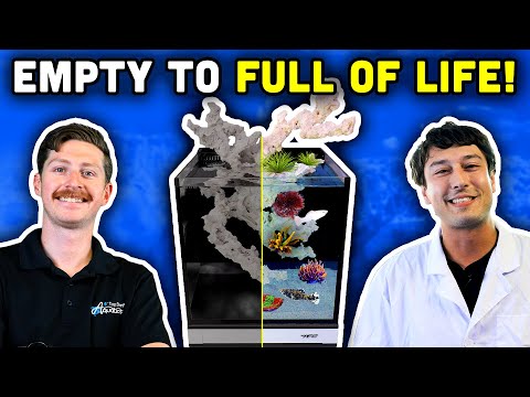 Видео: Как правильно завести бак! Запуск бака по высшему разряду!