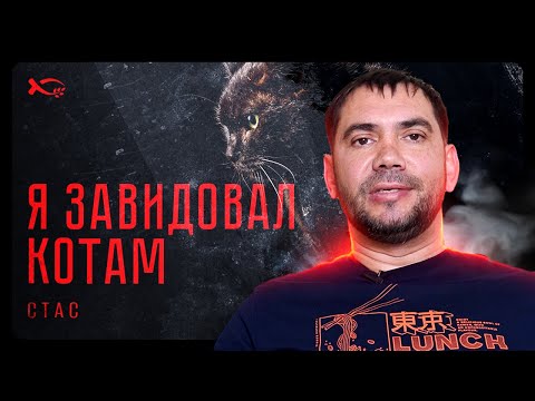 Видео: Я завидовал котам | история жизни | Стас