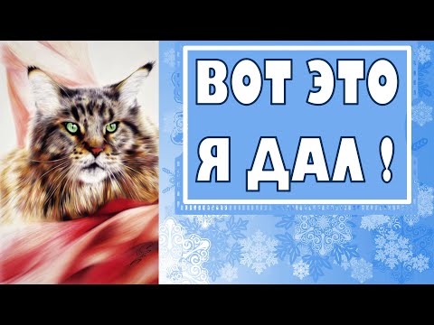 Видео: Приколы с котами. Кот Вилли в снежном плену, выручаем!