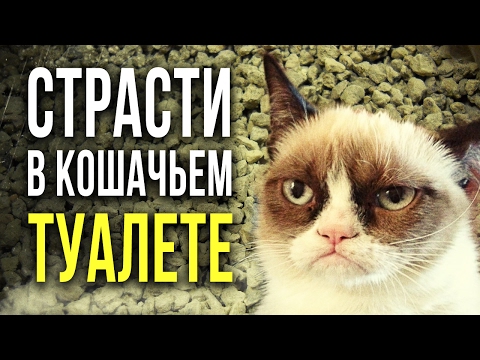 Видео: ☢ Радиация в кошачьем наполнителе? Сейчас проверим!  [Олег Айзон]